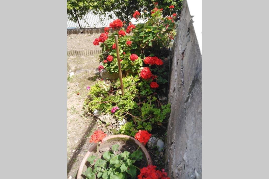 Moneghetti Beausoleil Exterior foto